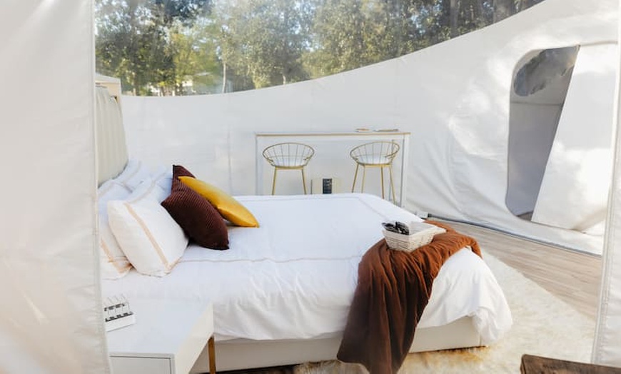 Image 6: Luxury Glamping Domes w/ Pool & Hot Tub, Just Outside Houston