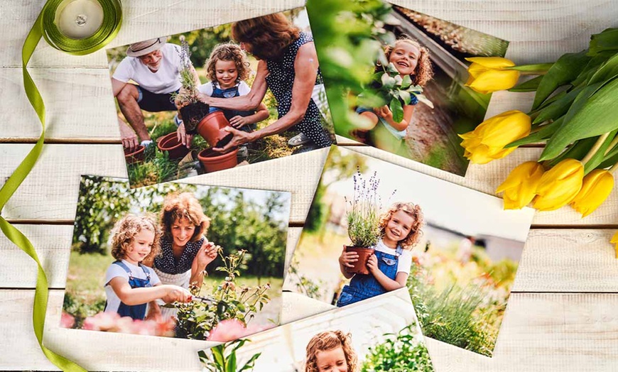 Image 5: Create Memories w/ 10x15, 15x21, or 10x10, 13x13, / 10x13 Photo Prints