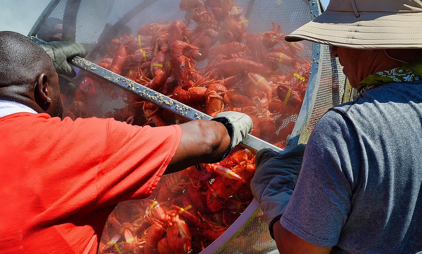 Image 3: Original Lobster Festival: Single-Day General-Admission on Sep 6 or 7