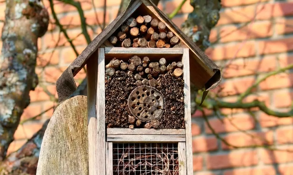 Adult Ticket to BBC Gardeners’ World Spring Fair