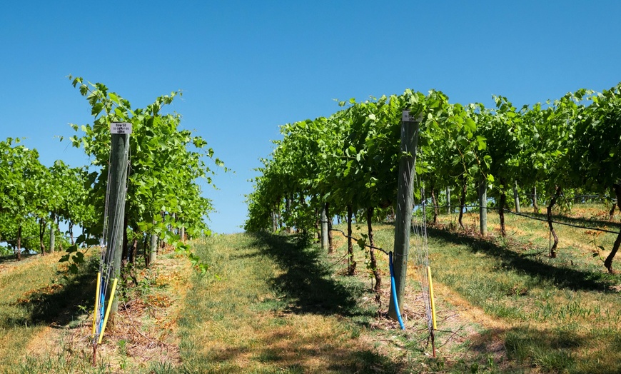 Image 19: ✈ Italian Dream Roadtrip: Naples, Campania & Amalfi Coast from Worldee