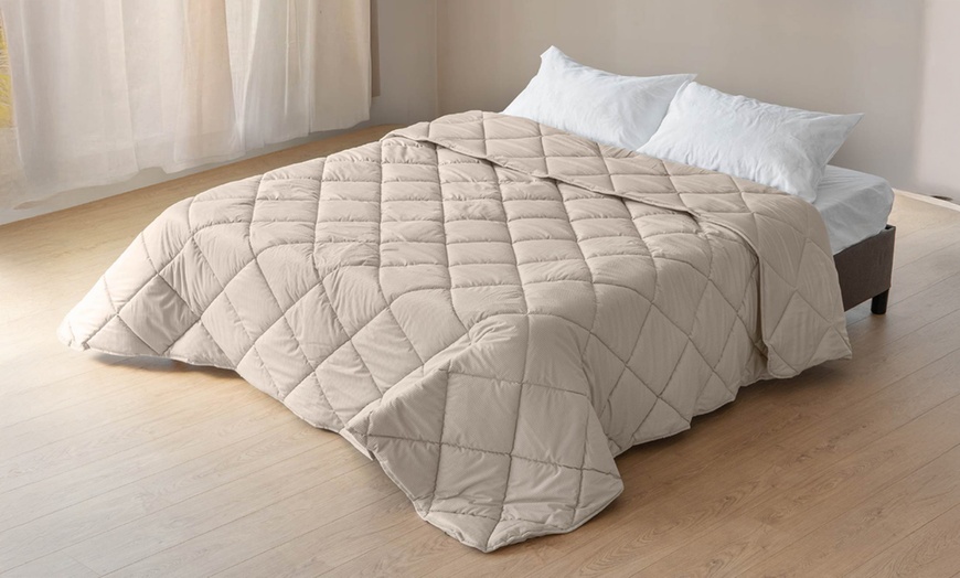 Image 1: Trapunta invernale matrimoniale in velluto