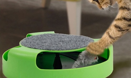 Gioco per gatti Acchiappa il Topo, con tiragraffi