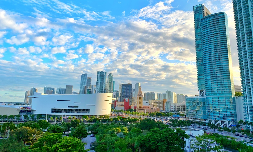 Image 2: Explore Miami's Historic Sights and Everglades' Beauty on Tours