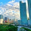 Image 2: Explore Miami's Historic Sights and Everglades' Beauty on Tours