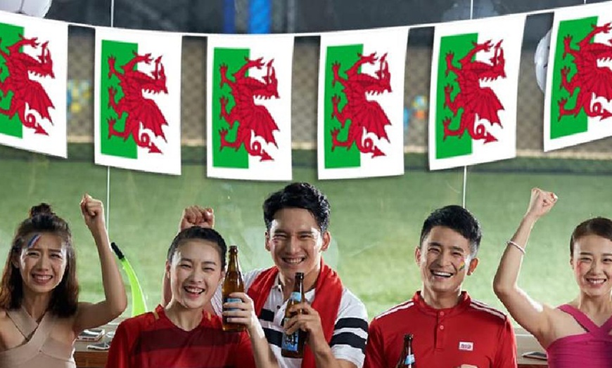 Image 3: Red Dragon Wales World Cup Banner 5m or 12m