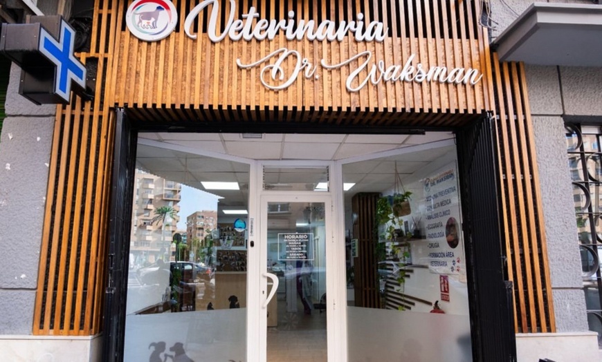 Image 2: Sesión de peluquería canina para perros de hasta 6, 15 o 30 kg