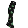 Hemp