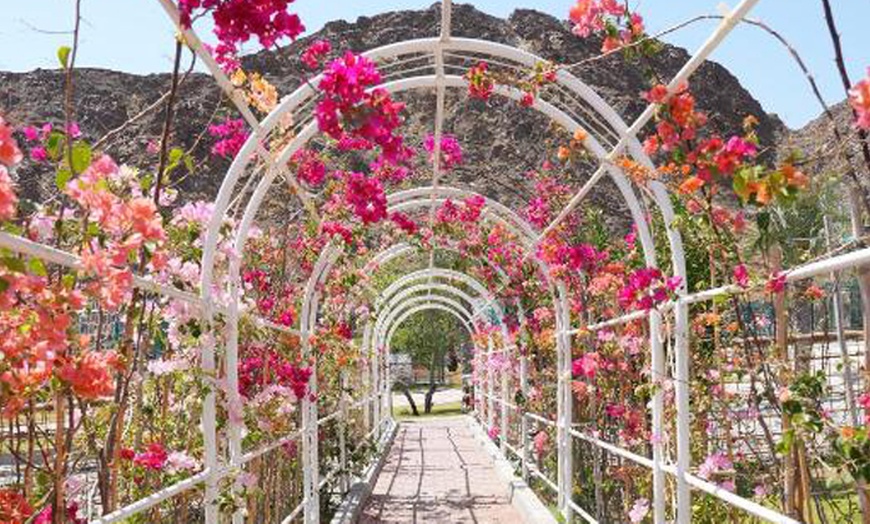 Image 4: Fujairah: One Night Stay with Breakfast 