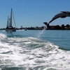 Image 7: Dolphin Racer Adventure Boat Tickets out of St. Pete Beach