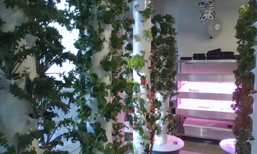 Image 2: Explore Urban Farming with a Tour for 1, 2, 3, 4, or 10 in Jersey City