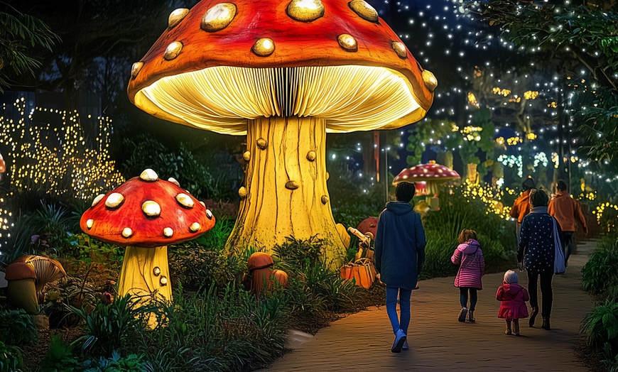 Image 6: Noël à Bellewaerde : billet d'entrée pour le parc d'attractions