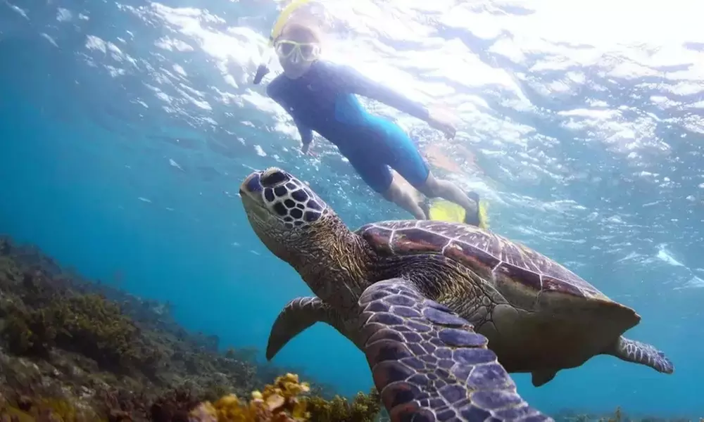 Embark w/ Northshore Circle Island Adventure for 1 Child,1 Adult