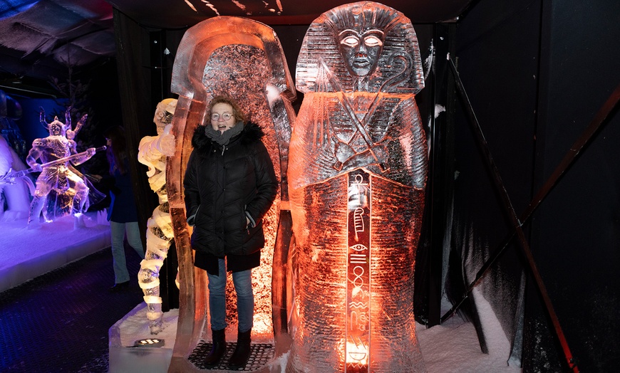 Image 7: Niederländisches Eisskulpturen-Festival in Biddinghuizen