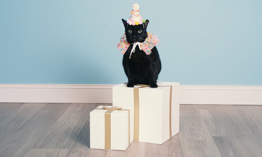 Image 3: JCPenney Portraits In-Studio Photography Sessions 