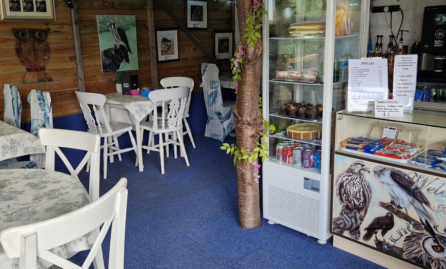 Image 2: Up to 62% Off on Zoo / Animal Park at Wild Wings Birds Of Prey