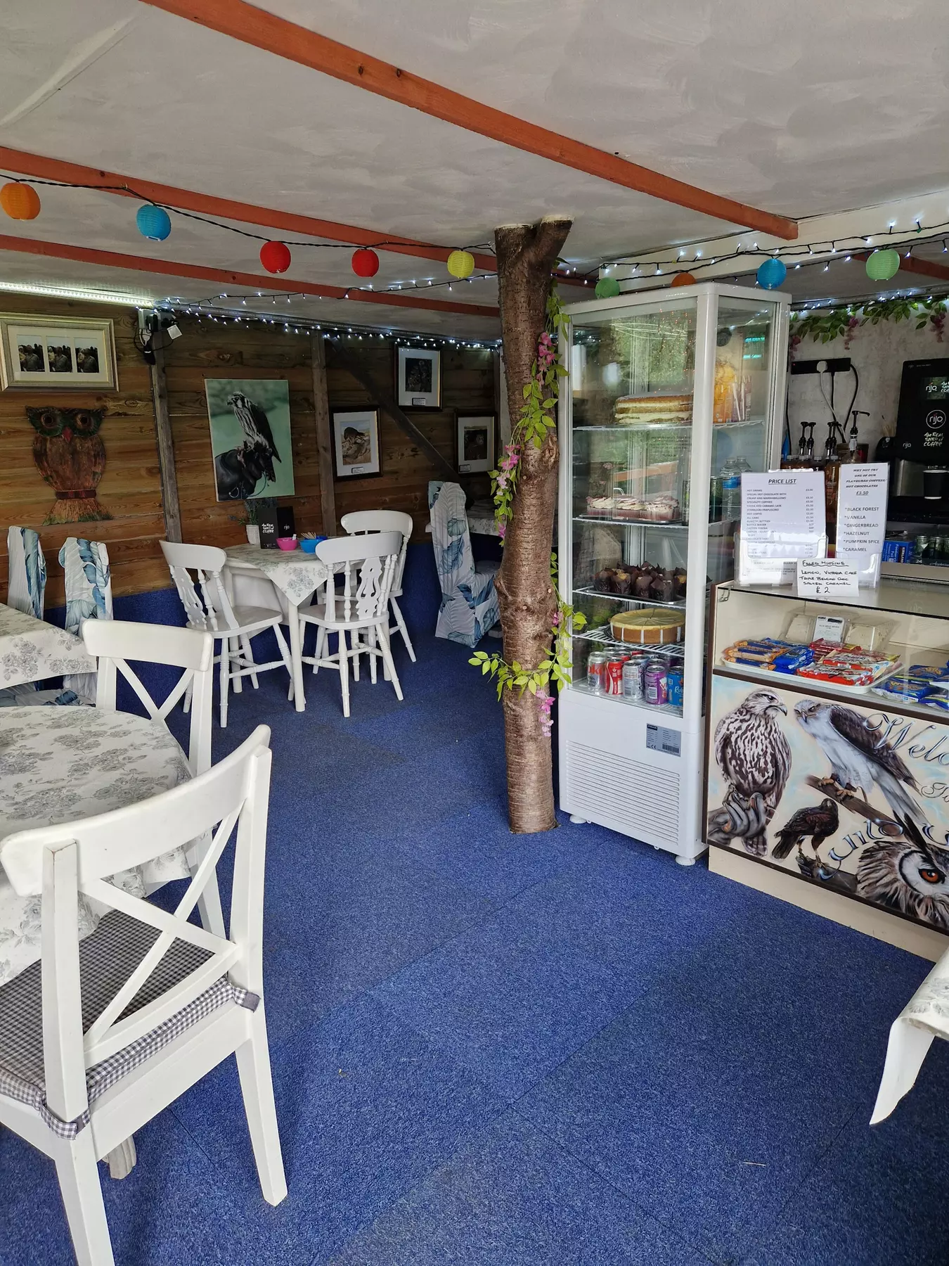 Up to 62% Off on Zoo / Animal Park at Wild Wings Birds Of Prey