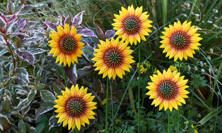 Image 1: 6 or 12 Pack of Metal Flower Stakes - Pansy / Sunflower / Daisy
