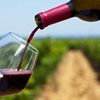 Image 1: Fredericksburg Wine Tours: VIP, Group, or Driver-Only Options
