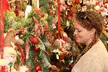 Indiana Christmas Gift and Hobby Show General Admission - November 12-16 - Second Medium