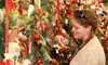 General Admission to Denver Christmas Show with Santa, Shopping and Holiday Entertainment (Up to 47% Off)