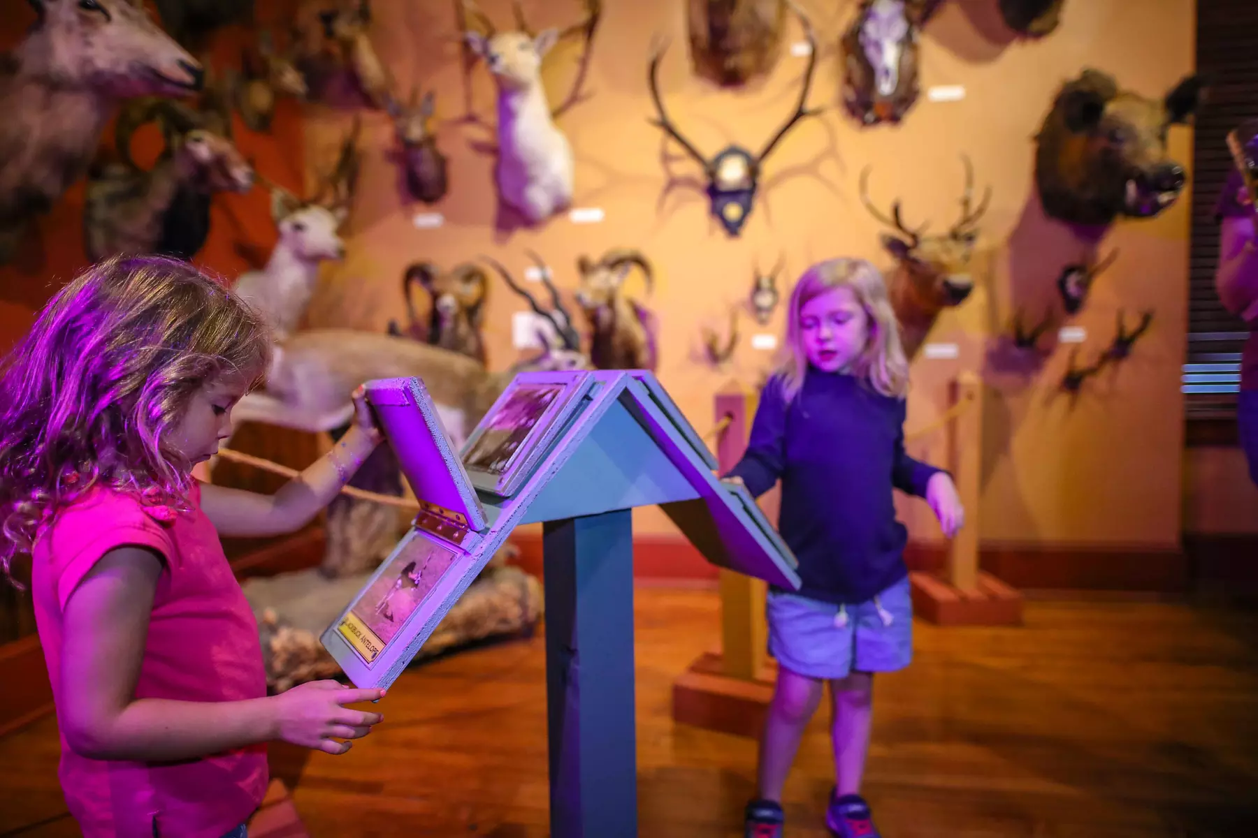 Buckhorn Museum & Texas Ranger Museum Admission in San Antonio