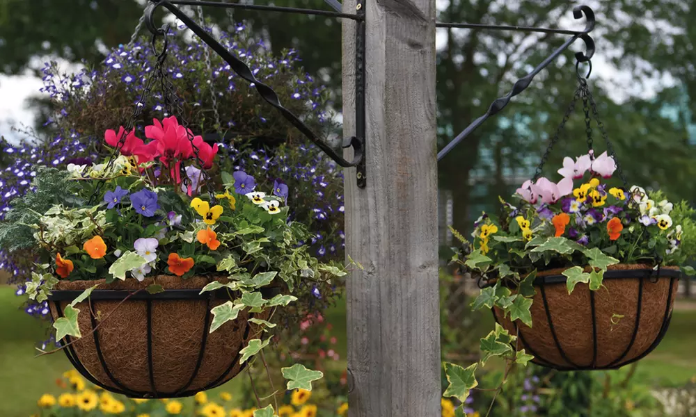Garden Hanging Basket Collection