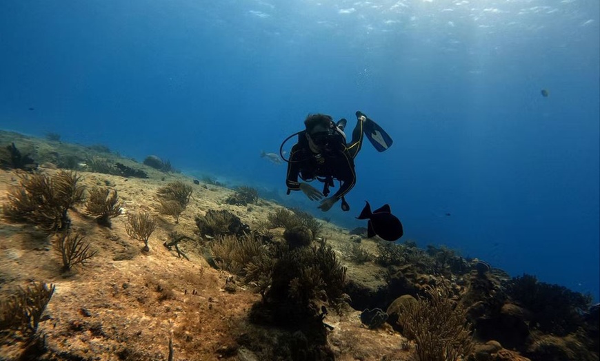 Image 8: Descubre el fondo marino con un bautismo de buceo para 1 o 2 personas