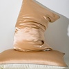 Image 8: 21 Momme Pure Silk Hotel Grade Pillowcase Pair