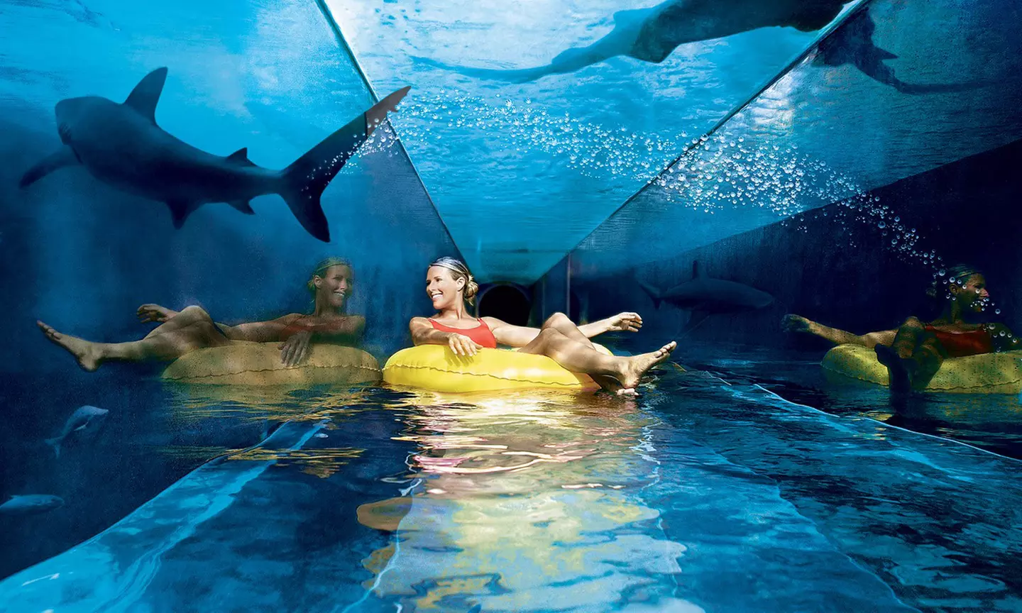 Pass Explorer Dubai & Abu Dhabi : 3, 5 ou 7 activités au choix