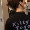Image 4: Find Your Zen: Yoga Classes With Adorable Kittens in London