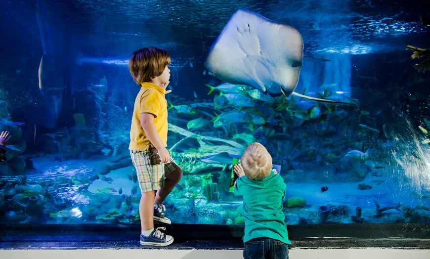Image 8: Save Up to 46% - LEGOLAND California Tickets