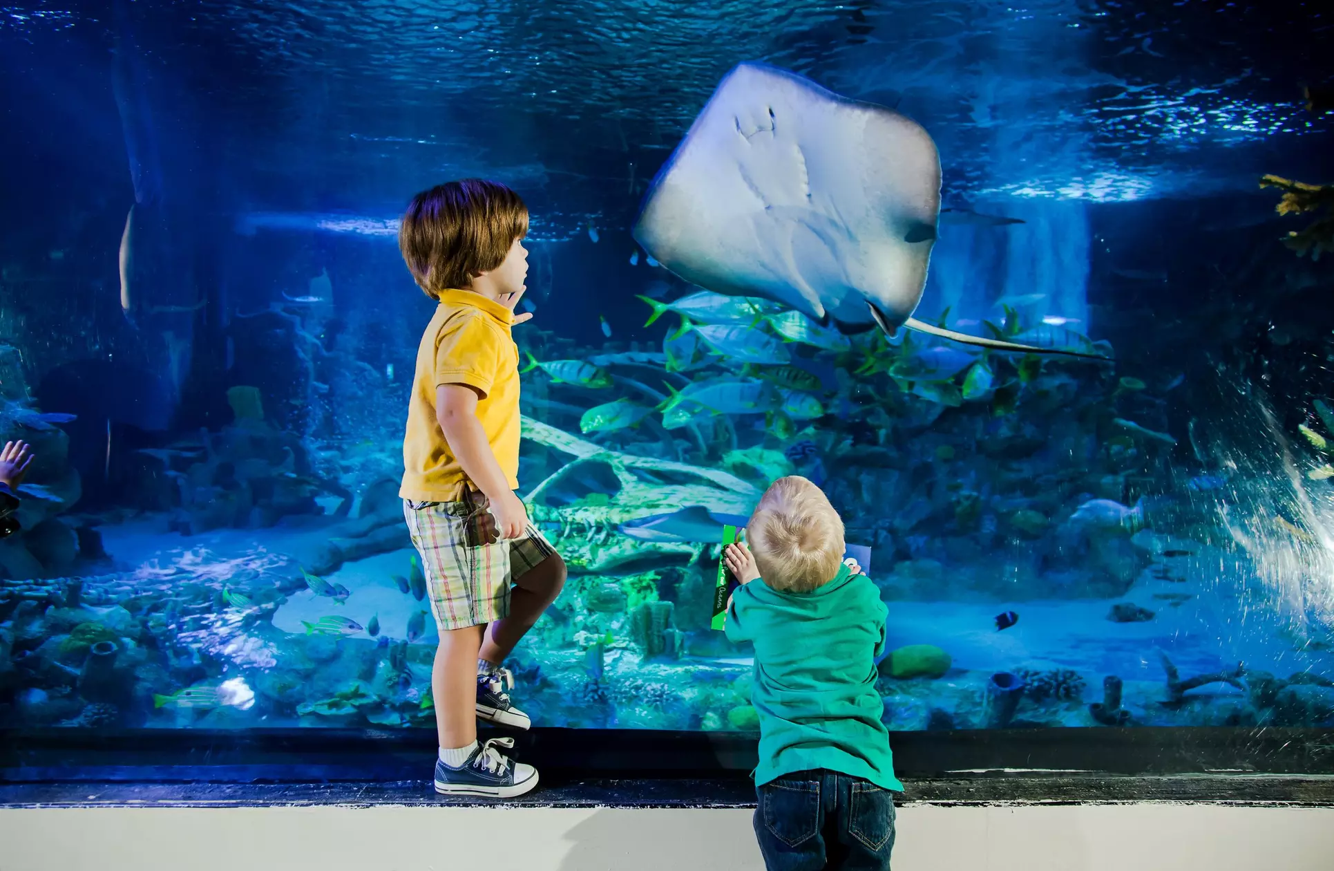 Save Up to 46% - LEGOLAND California Tickets