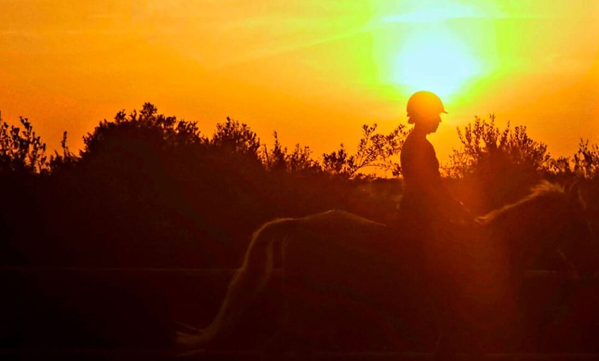 Image 8: ¡Descubre la emoción de cabalgar en Montserrat!