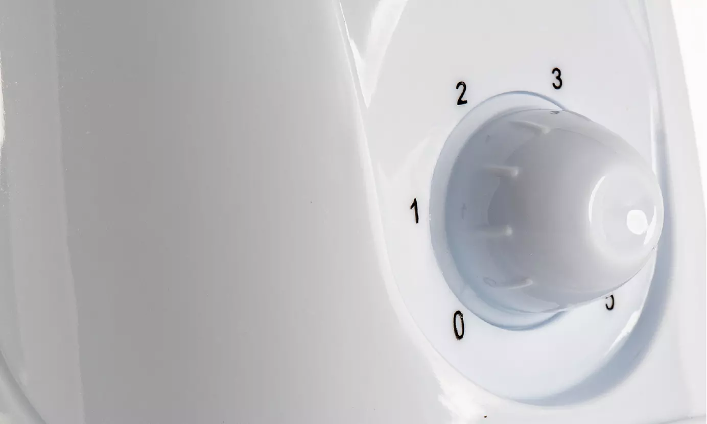 Tostapane elettrico 2 fette