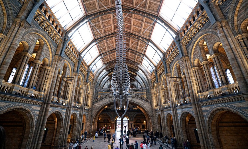 Image 2: Explore the Natural History Museum - Adult & Child Tours!