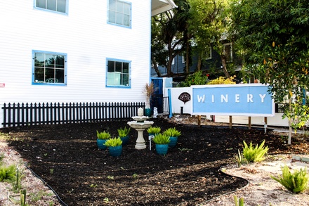 Lock Your Love or Friendship with Wine Tasting for 2 People - Tarpon Springs Castle Winery