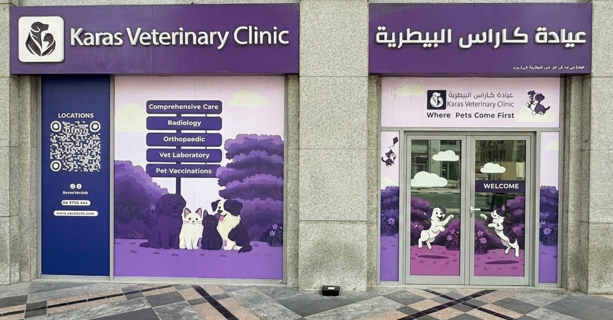 Basic Or Full Grooming For Small Or Medium Dog, Cat Or Large Dog Basic Or Full Grooming For Small Or Medium Dog, Cat Or Large Dog