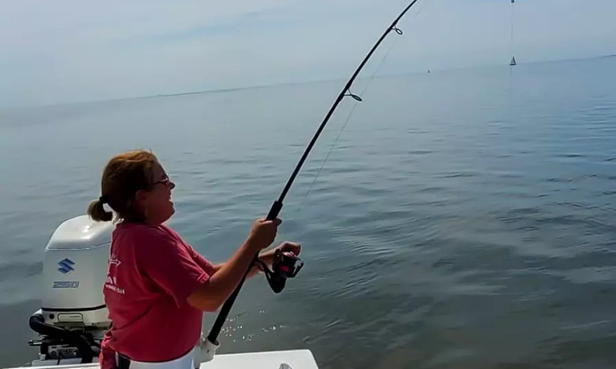 2- or 3-Hr Kid's Fishing Trip/4-Hr Large Shark Trips+ Tarpon (up to 6)