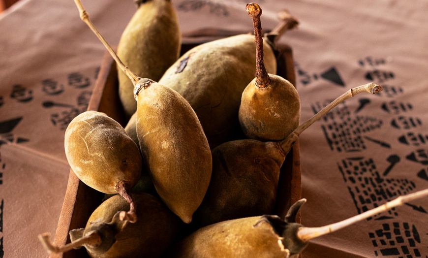 Image 17: Zimbabwe: 7-Night Yoga & Safari Retreat