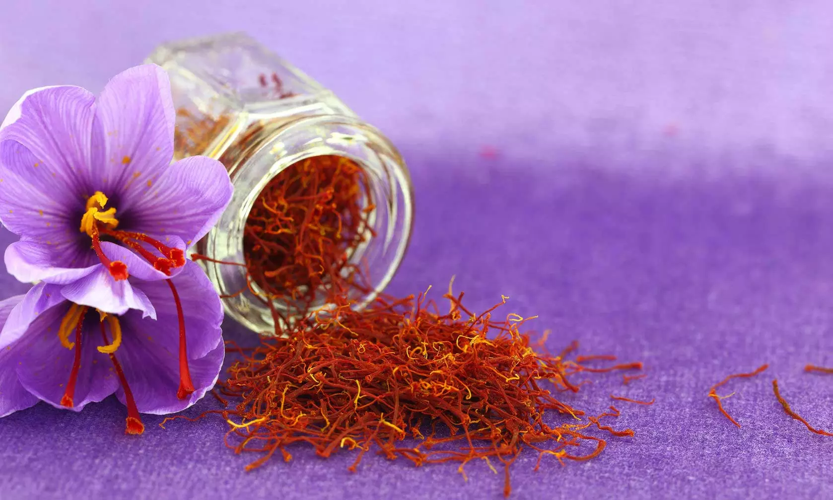 Saffron Crocus Sativus Bulbs (15-Pack)  - Second Medium
