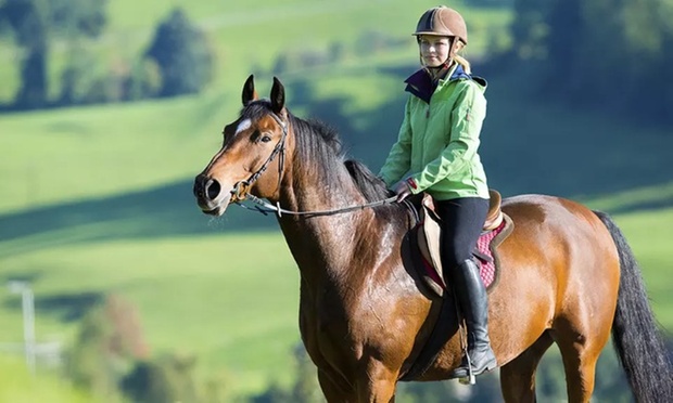 What to expect media