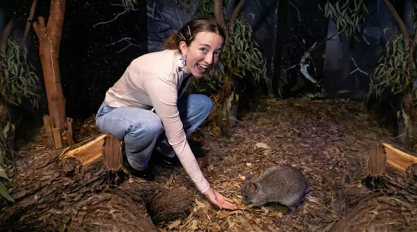 Wildlife Sydney Zoo - Adult Entry at Child Prices  -  Members only