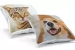 Classic or Premium or Standard Personalised Photo Cushion from Photo Gifts (Up to89% Off). Six Options - Second Medium