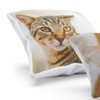 Image 6: Classic or Premium or Standard Personalised Photo Cushion 