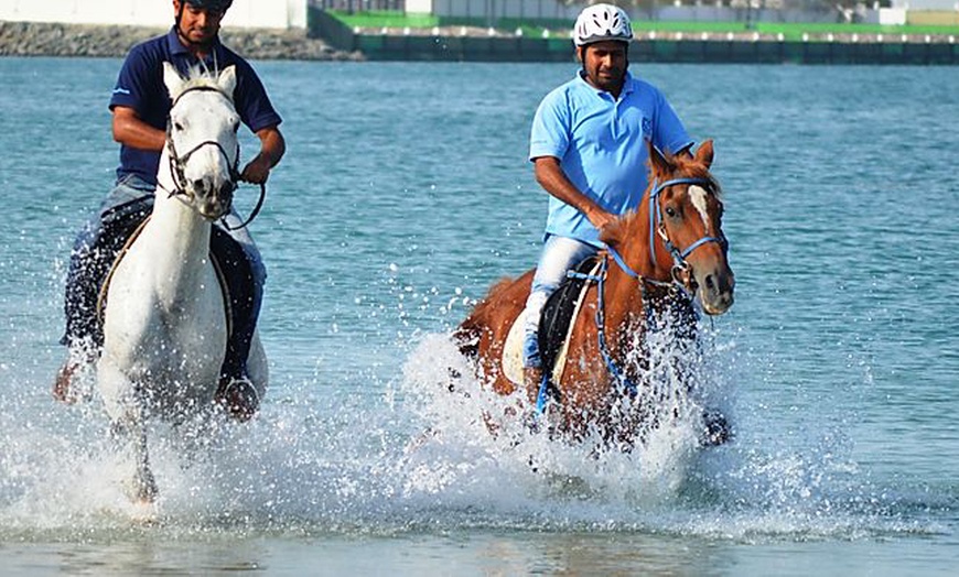 Image 2: One-Hour Desert Horse Ride