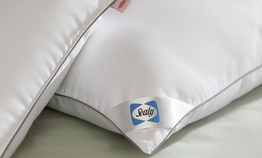 Image 7: Sealy Luxury Anti Allergy Pillows or Mattress Topper