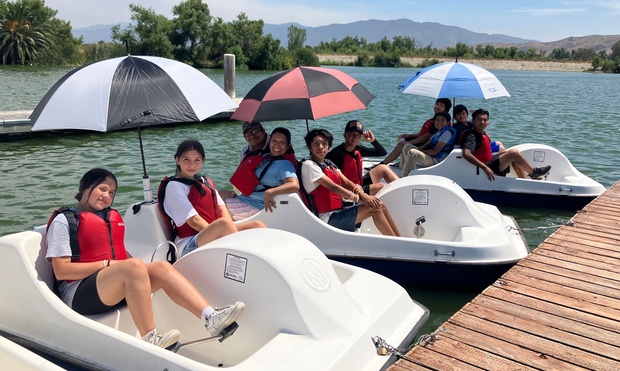 What to expect media