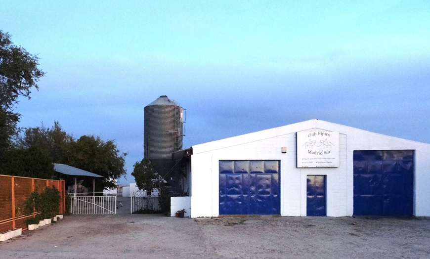 Image 4: Paseo a caballo en entorno natural para cualquier nivel (hasta 4 pax.)