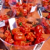 Image 4: TN Hot Sauce Expo - Fiery Fun, Flavor, and Excitement